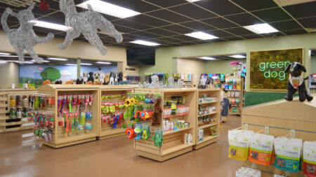 An interior view of Green Dog Barkery featuring displays and shelves full of dog toys and treats in Wyoming, PA.
