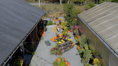 5 Spots for Halloween Fun image