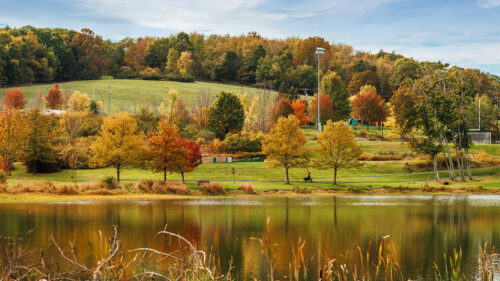 Fall foliage at Eston Wilson Lake at Hillside Park in South Abington Twp., PA