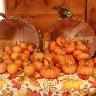 Dymond’s Farm Market image