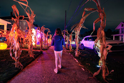 A girl walks down a sidewalk with stalks of corn sticking out of the ground on either side in Halloweentown in West Pittston, PA.