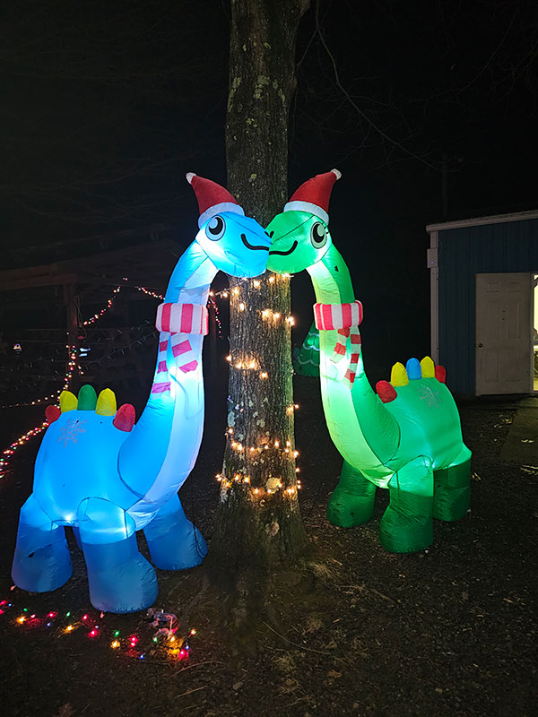 Two giant lighted dinosaurs in santa hats at the Christmas Light Show at the Sullivan County Fairgrounds in Forksville, PA.