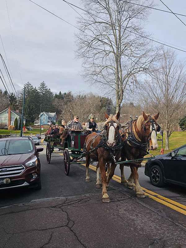 A horse-drawn carriage at the Christmas Market in Factoryville, PA.