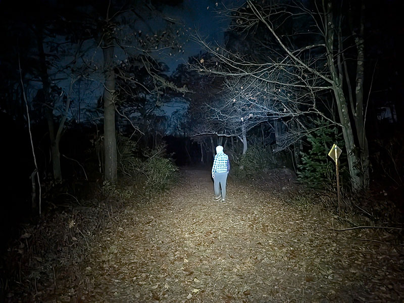 A hiker walks on a trail at night in Pinchot State Forest.