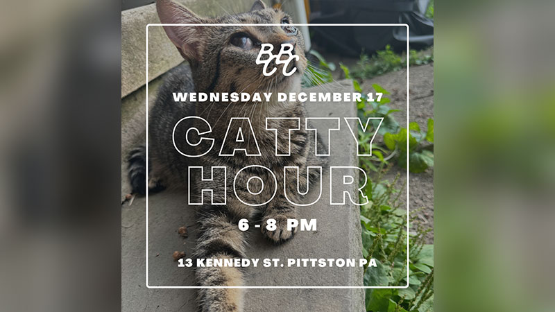 Catty Hour image