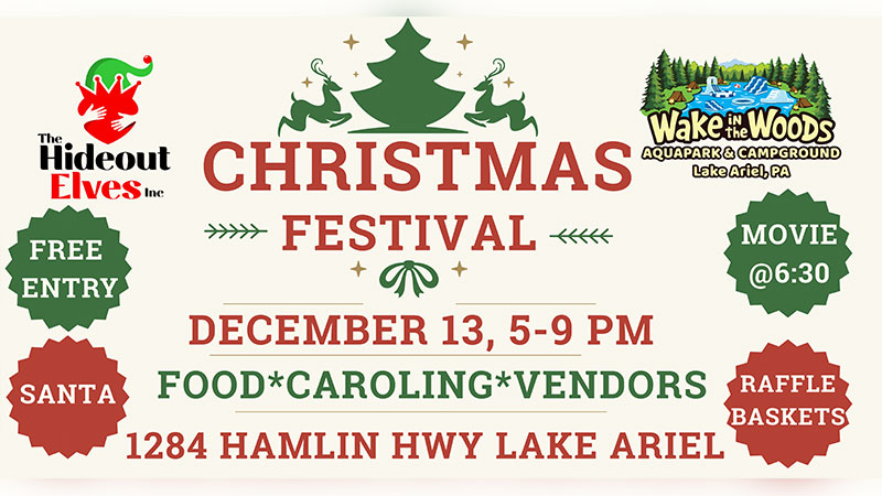 Christmas Festival image