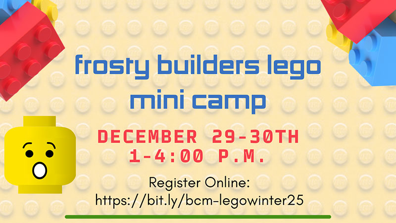 Frosty Builders Mini Lego Camp image