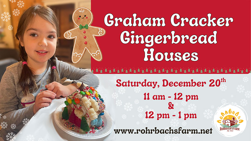 Graham Cracker Gingerbread House Workshop image