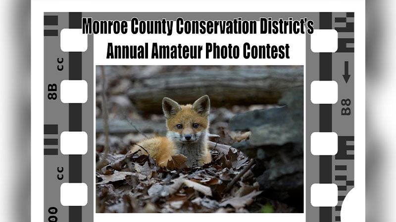 Photo Contest Art Opening image