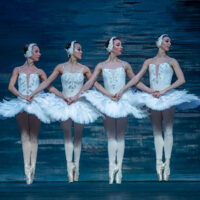 Swan Lake image
