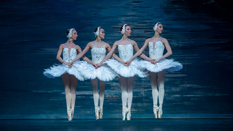Swan Lake image
