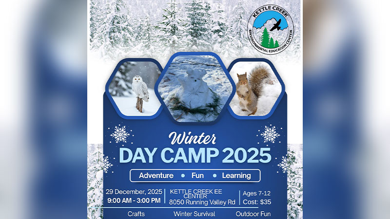 Winter Day Camp image