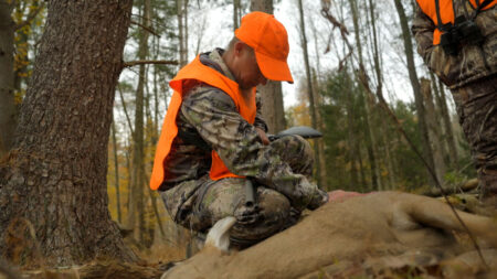 Hunts For Healing image