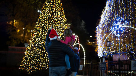 A man holding a child in front of illuminated Christmas trees at Hersheypark Christmas Candylane in Hershey, PA.