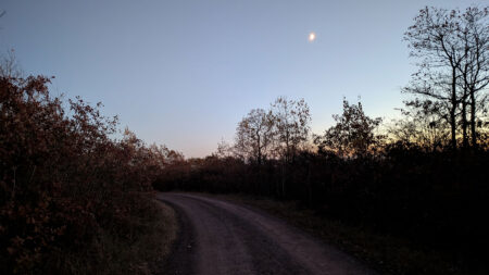 A view of the moon and sky at dusk on the trail at Pinchot State Forest.