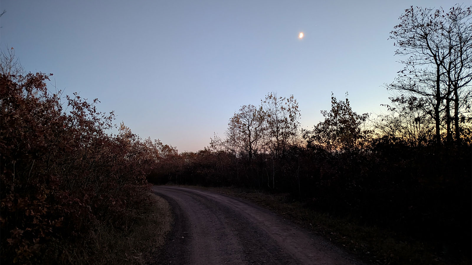 A view of the moon and sky at dusk on the trail at Pinchot State Forest.