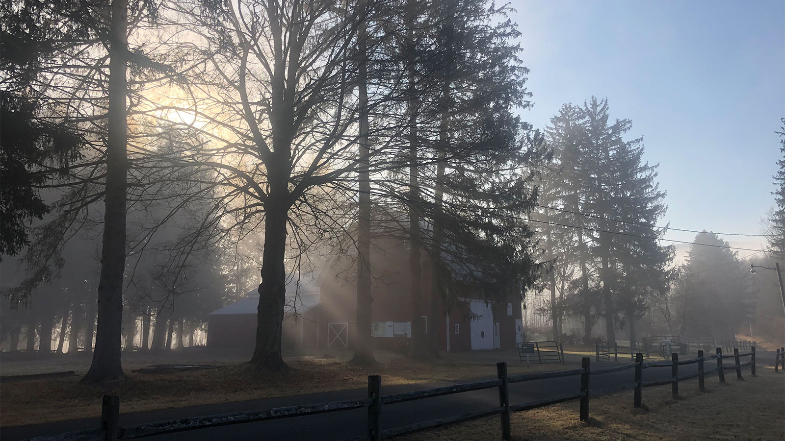 The First Frost: A Universal Symbol of Changing Seasons image