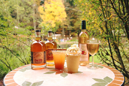 Apple and Apple Pie Moonshine, apple cider cocktails and caramel apple cider slushies rest on an outdoor table surrounded by fall vegetation at Sorrenti Family Estate Winery, Distillery & Pizzeria in Saylorsburg, PA.