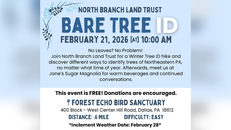 Bare Tree ID image