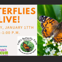 2026 Butterflies, LIVE! image