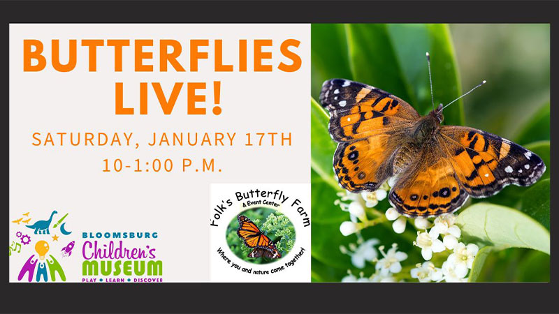 2026 Butterflies, LIVE! image