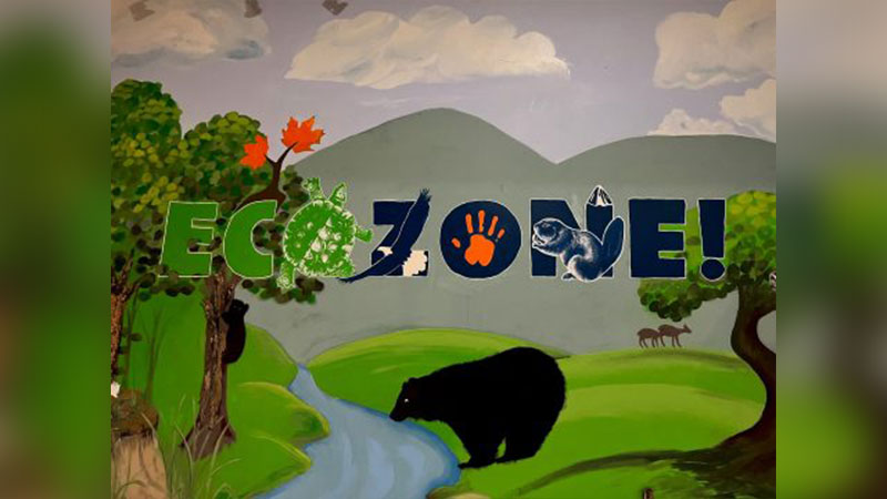 EcoZone Discovery Room image