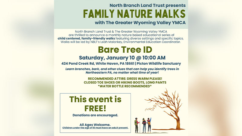 Family Nature Walk: Bare Tree ID image