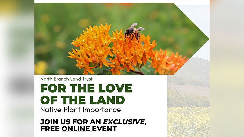 For The Love of The Land: Native Plant Importance image