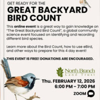 Get Ready for the Great Backyard Bird Count image