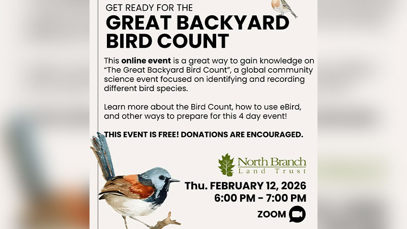 Get Ready for the Great Backyard Bird Count image
