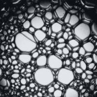 Joe Pecora and Carl Frankel: Introduction to Microphotography image