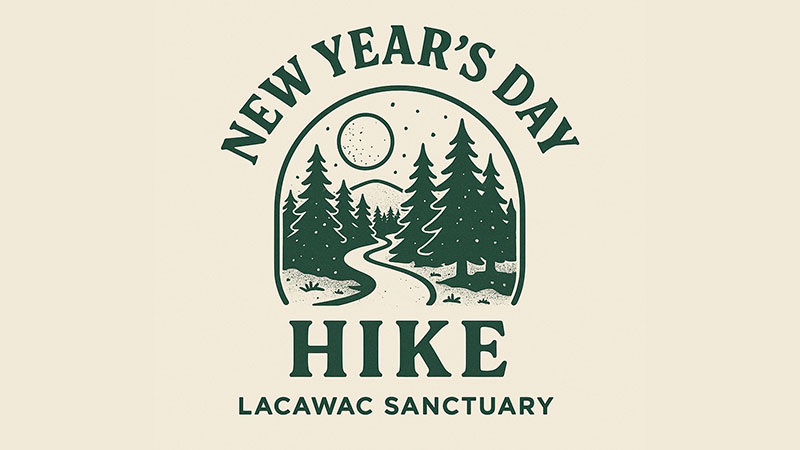 Graphic depicting a logo of the sun and a trail through the woods for the New Year's Day Hike at Lacawac Sanctuary in Lake Ariel, PA.