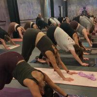 Lymphatic Flow & Reiki Renewal image