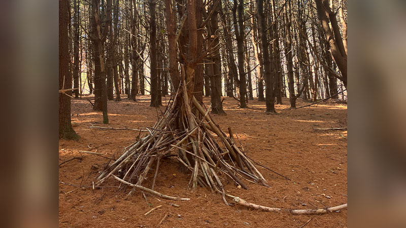 Winter Survival Workshop image