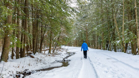 Man walking along a snow-covered path at Lackawanna State Park in North Abington Twp., PA.