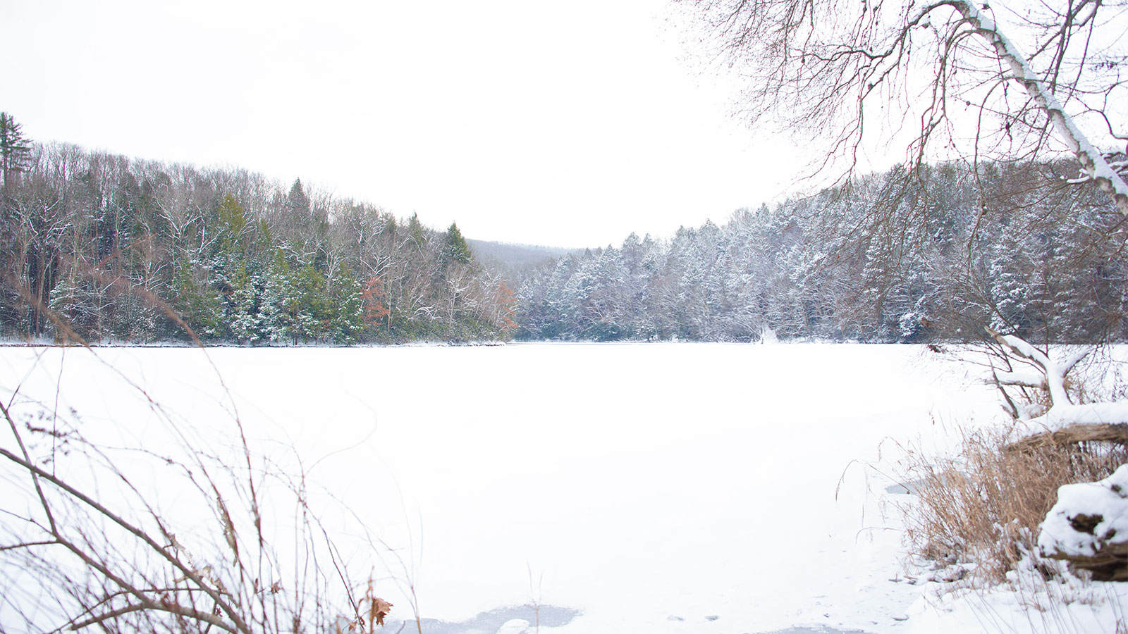 Things to See & Do at Tuscarora State Park image