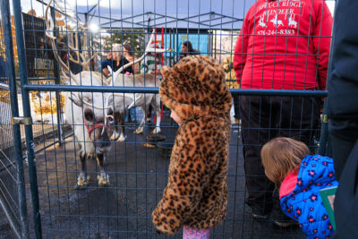 Two children stare at a reindeer during the Merry and Bright event at Marywood University in Scranton, PA.