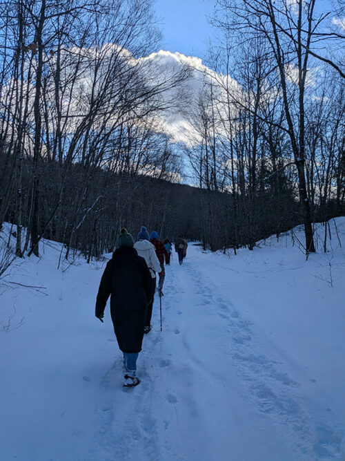 Hikers walk along a snowy trail during the D&H Rail-Trail First Day Hike, surrounded by bare winter trees under a bright blue sky.