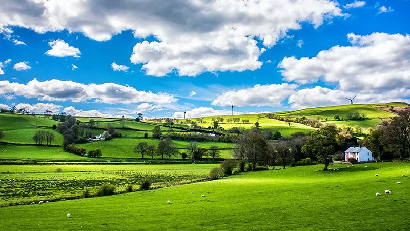 Ag Day - Susquehanna County image