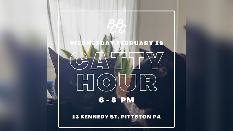 Catty Hour image