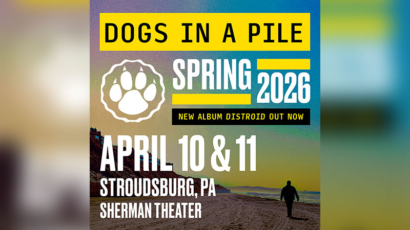 Dogs in a Pile image