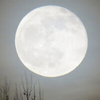 Full Moon Hike image