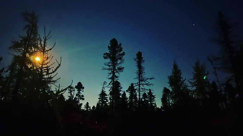 Full Moon Walk image