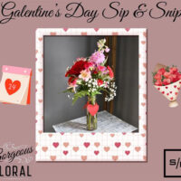 Galentine’s Sip & Snip image