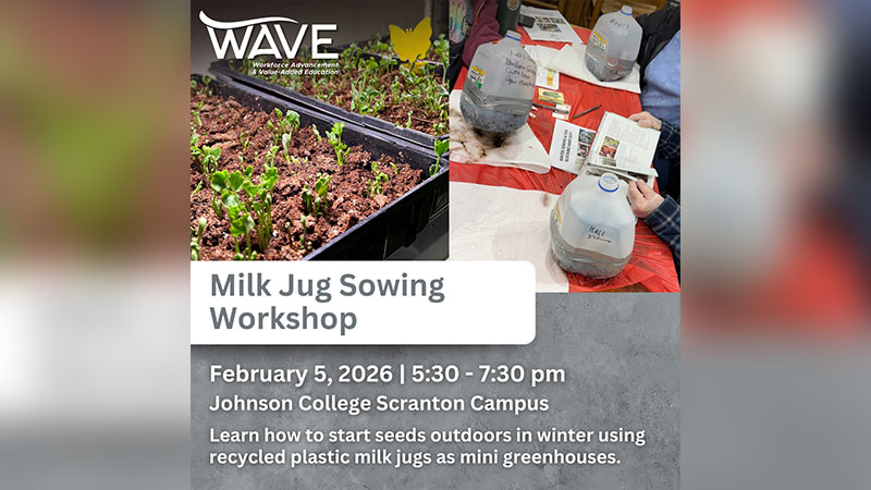 Milk Jug Sowing image