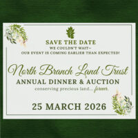 NBLT Annual Dinner & Auction image