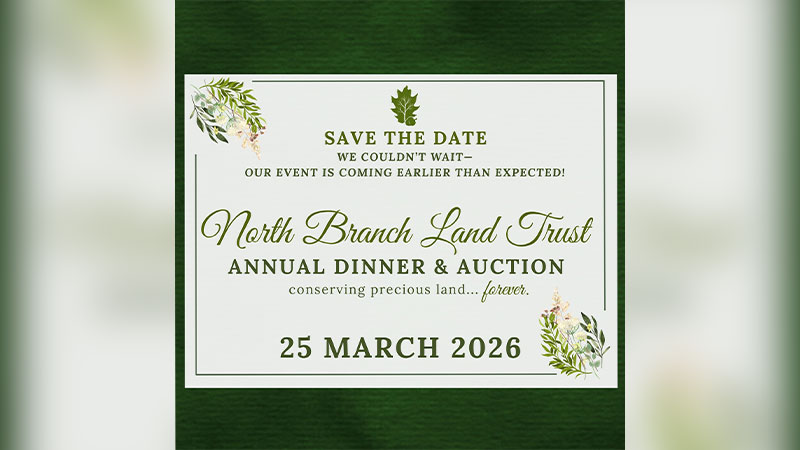 NBLT Annual Dinner & Auction image