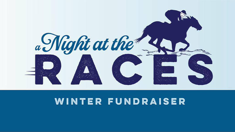 Night at the Races image