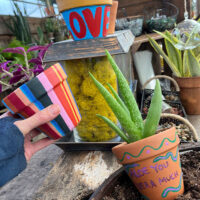 Paint and Plant Workshop image