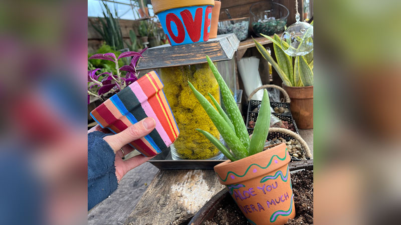 Paint and Plant Workshop image